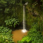 Waterfall View from the Mac Nut House