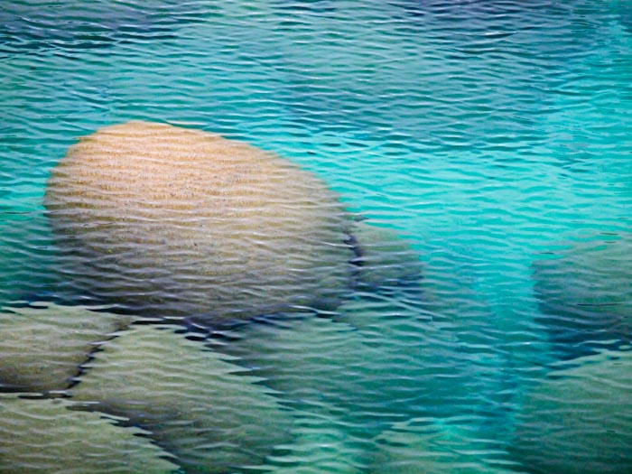 Underwater Boulders At Sand Harbor