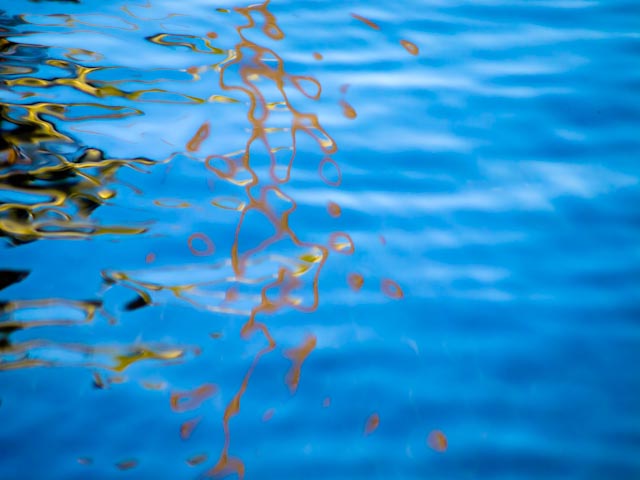 Pollock in Nature